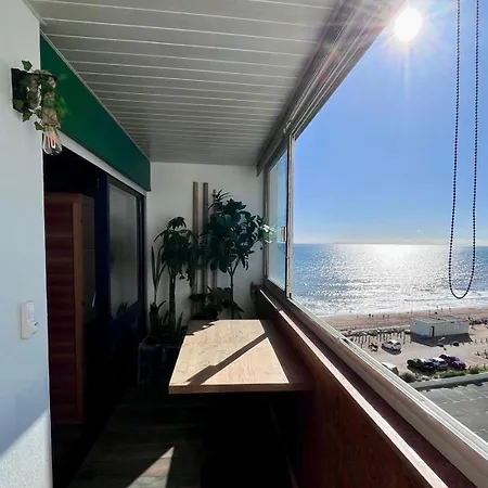 Oasis Tropical Sauna Prive Vue & A 100m *