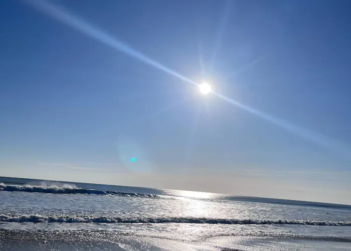 Oasis Tropical Sauna Privé Vue Mer&plage à 100m