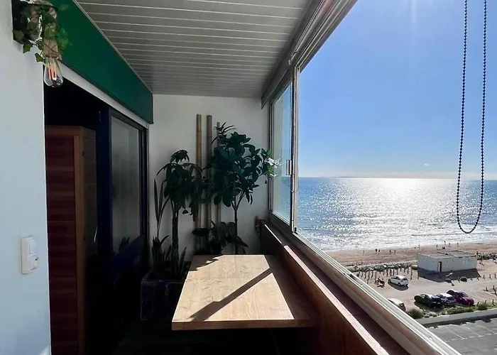 Oasis Tropical Sauna Privé Vue Mer&plage à 100m *