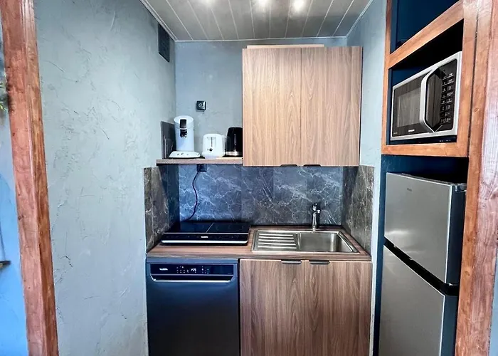 Apartamento Oasis Tropical Sauna Privé Vue Mer&plage à 100m