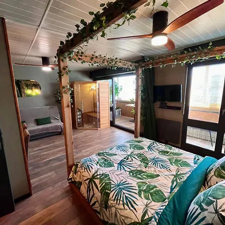 Oasis Tropical Sauna Privé Vue Mer&plage à 100m Appartement *