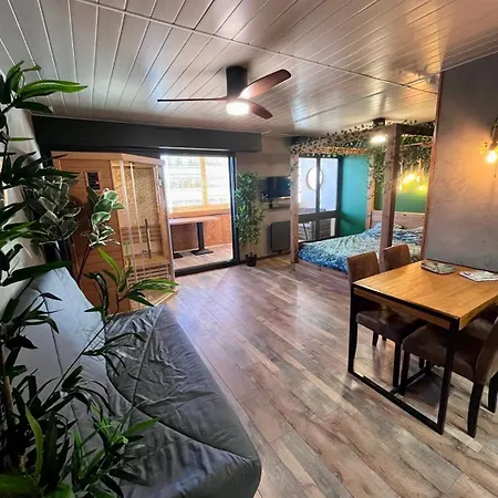 Oasis Tropical Sauna Privé Vue Mer&plage à 100m Appartement
