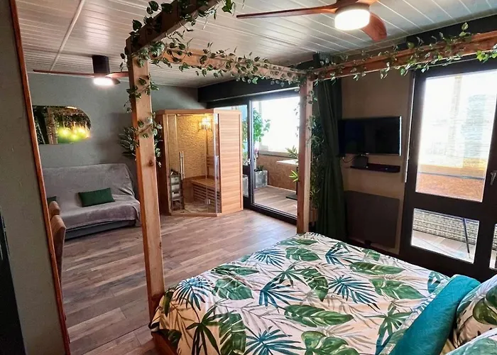 Oasis Tropical Sauna Prive Vue & A 100m Appartement *