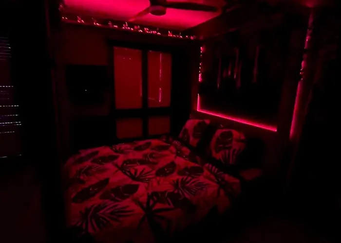 Oasis Tropical Sauna Prive Vue & A 100m