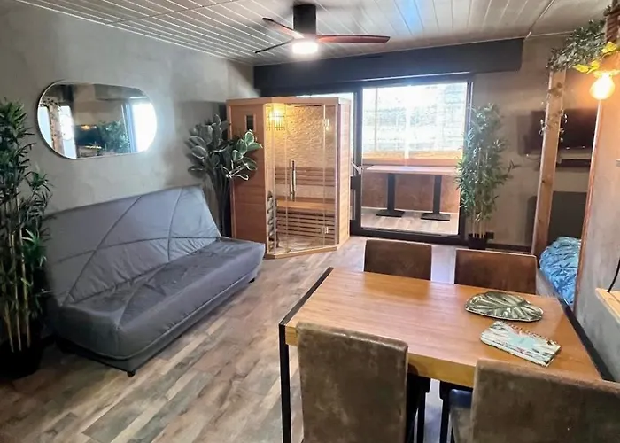 Appartement Oasis Tropical Sauna Prive Vue & A 100m *