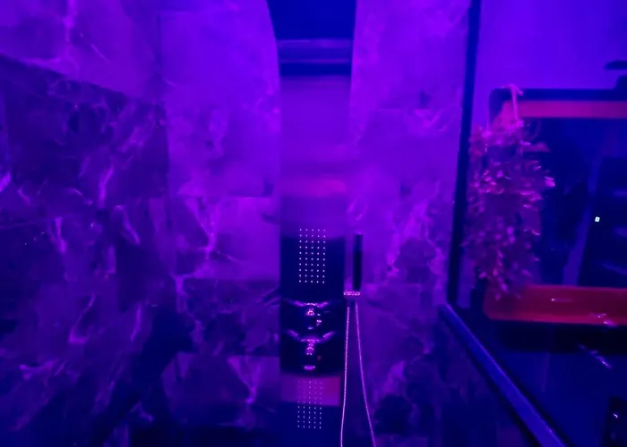 Appartement Oasis Tropical Sauna Privé Vue Mer&plage à 100m